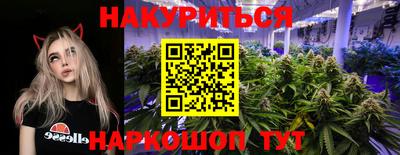 ГАЛЛЮЦИНОГЕННЫЕ ГРИБЫ Пугачёв