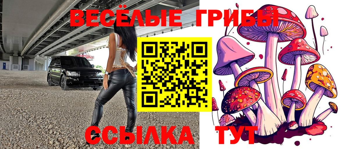 Галлюциногенные грибы мухоморы Энгельс